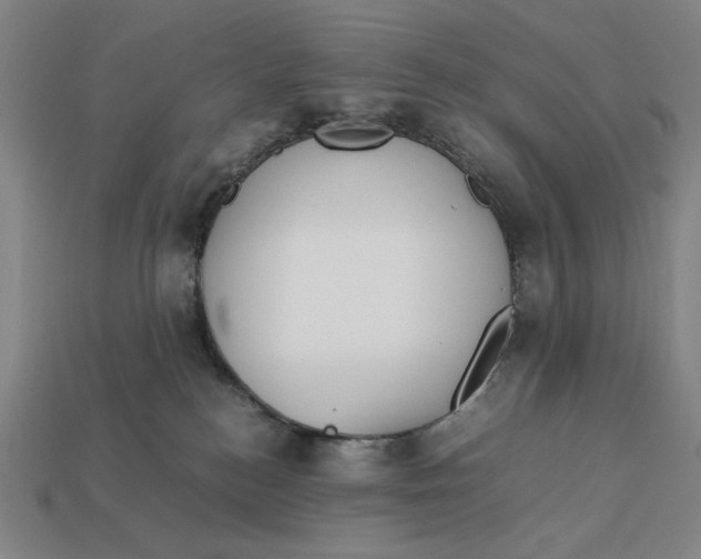 X0000113110184200909181636