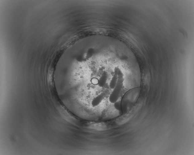 X0000113110185200909181636