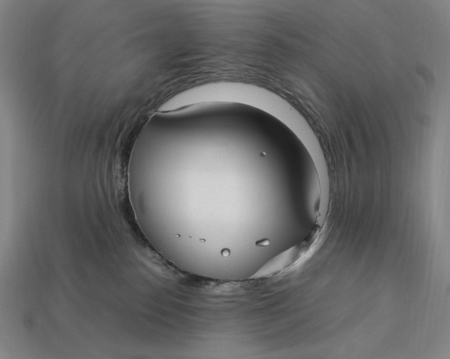 X0000113110186200909181636
