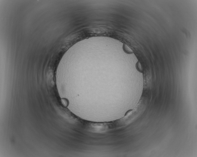 X0000113110187200909181636