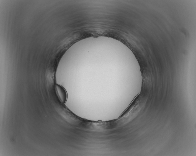 X0000113110188200909181636