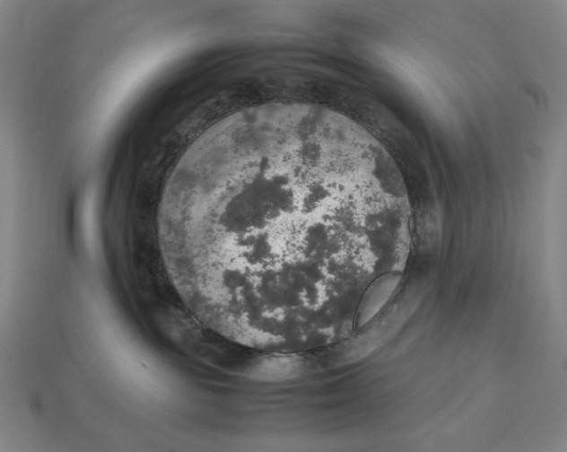 X0000113110189200909181636