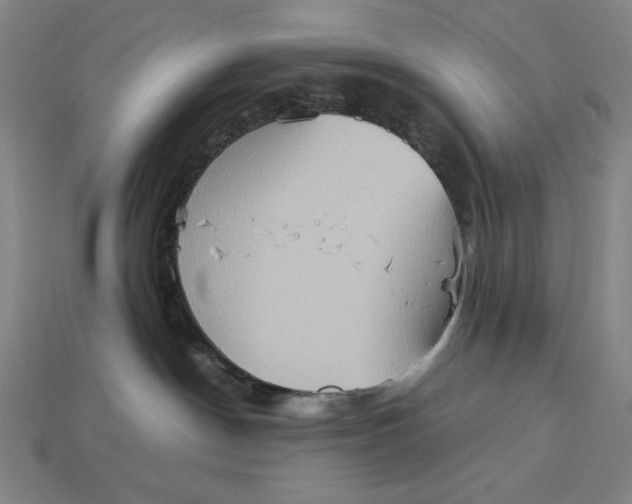 X0000113110190200909181636