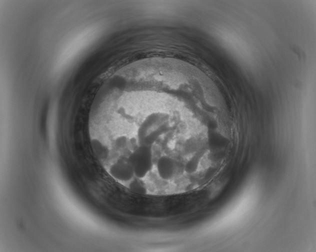 X0000113110191200909181636
