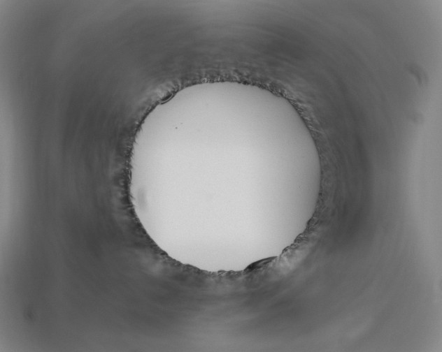 X0000113110192200909181636