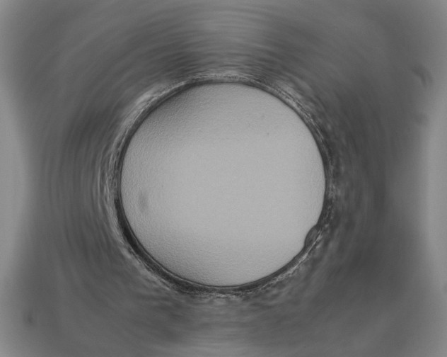 X0000113110193200909181635