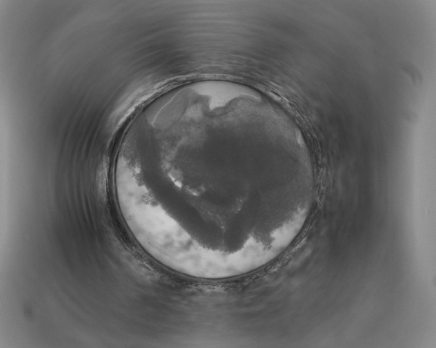 X0000113110194200909181635