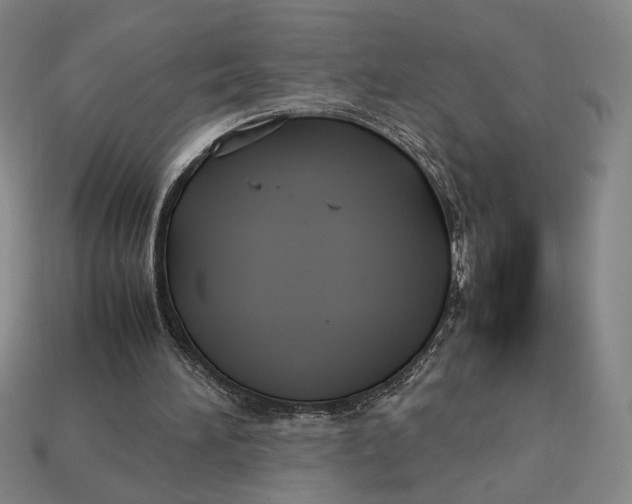 X0000113110196200909181635