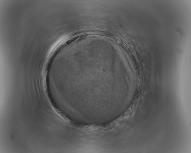 X0000113110197200909181635