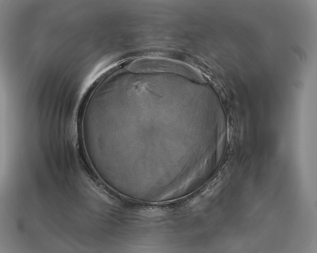 X0000113110198200909181635