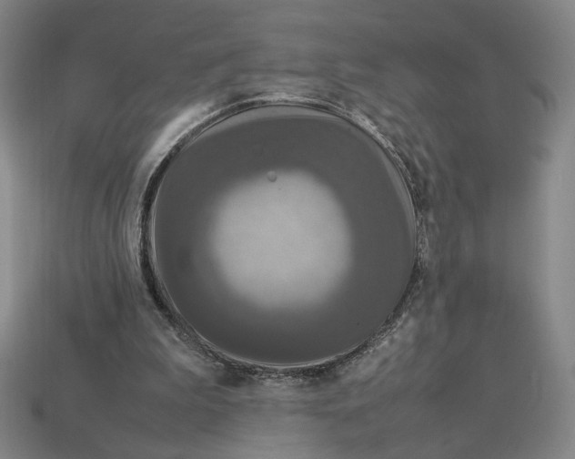 X0000113110199200909181635