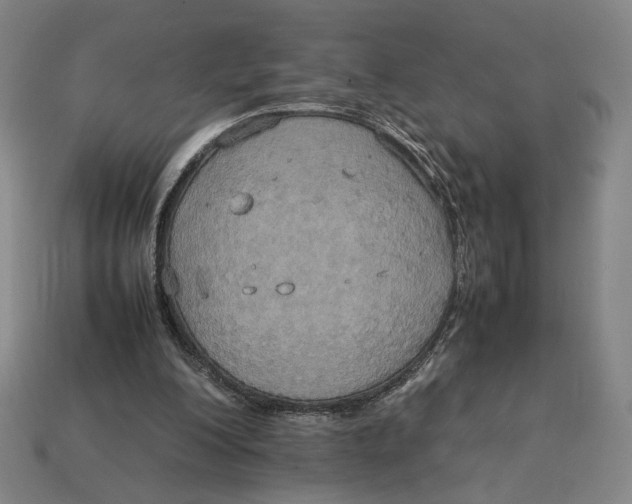 X0000113110200200909181635