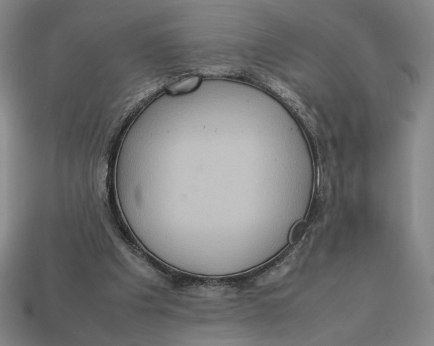 X0000113110201200909181635