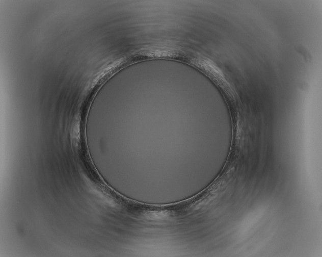 X0000113110202200909181635