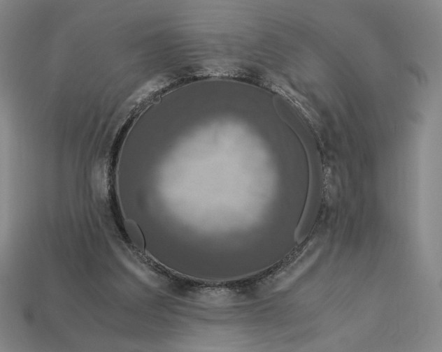 X0000113110203200909181635
