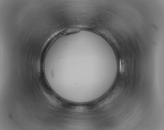 X0000113110204200909181635