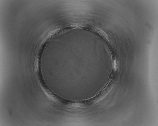 X0000113110205200909181635