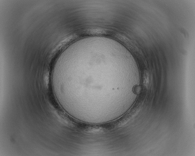X0000113110206200909181635