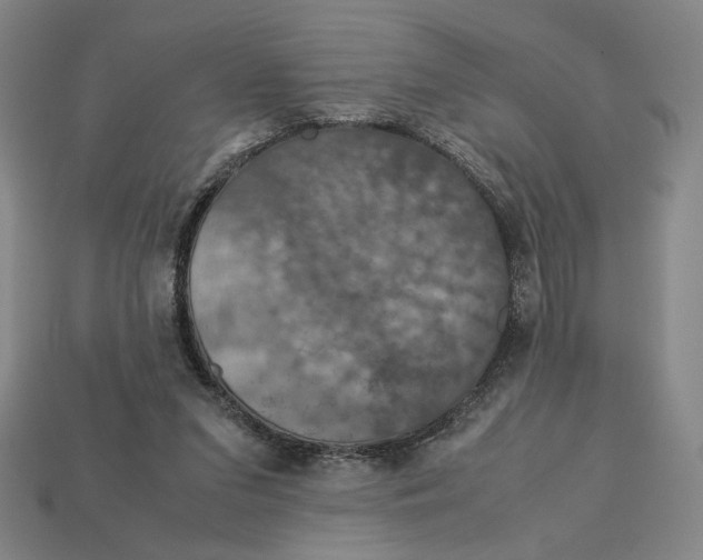 X0000113110207200909181635