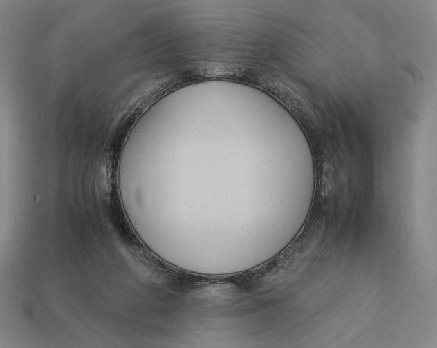 X0000113110210200909181635