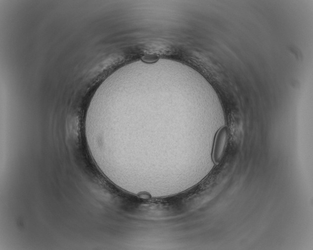 X0000113110211200909181635