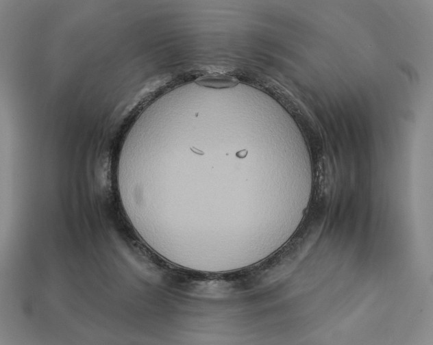X0000113110212200909181635