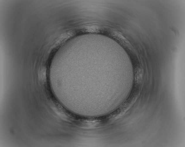X0000113110213200909181635