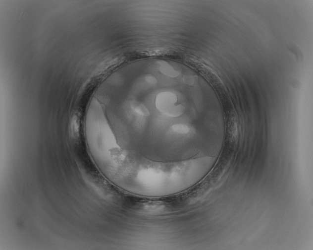 X0000113110214200909181635