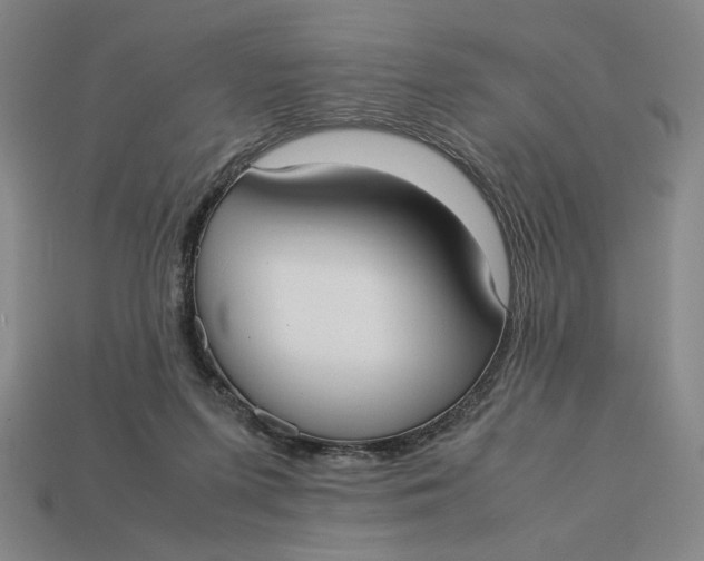 X0000113110215200909181635