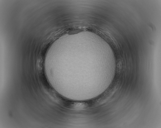 X0000113110218200909181635