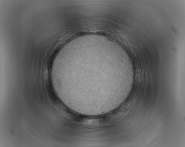 X0000113110220200909181635