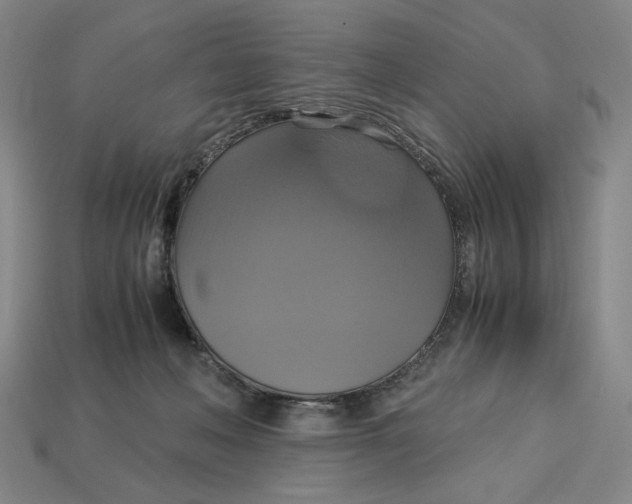 X0000113110222200909181635