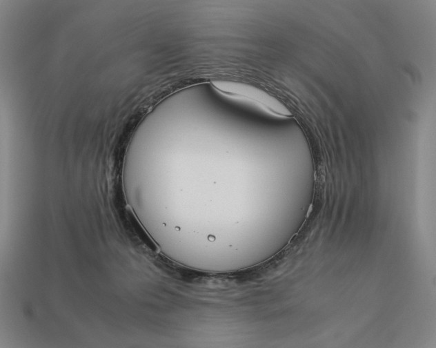X0000113110223200909181635