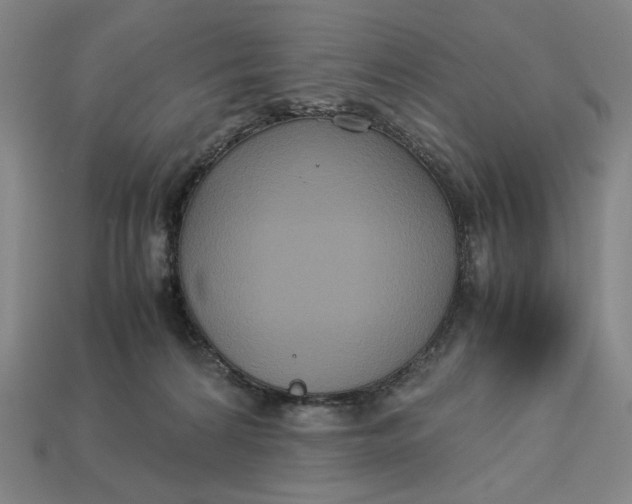 X0000113110224200909181635