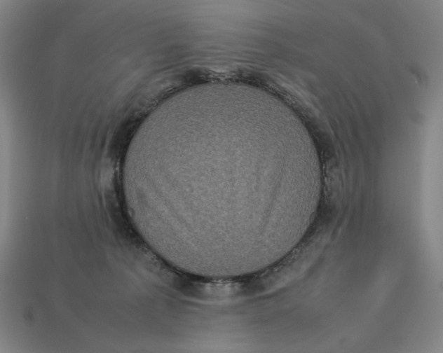 X0000113110225200909181635