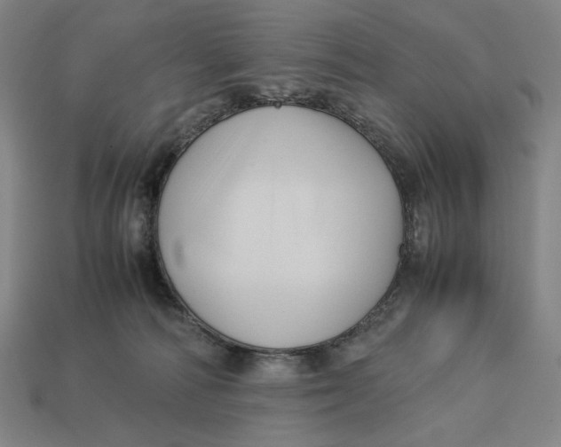 X0000113110226200909181635