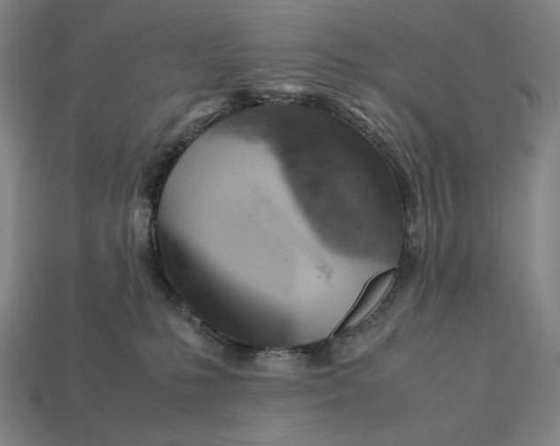 X0000113110231200909181635