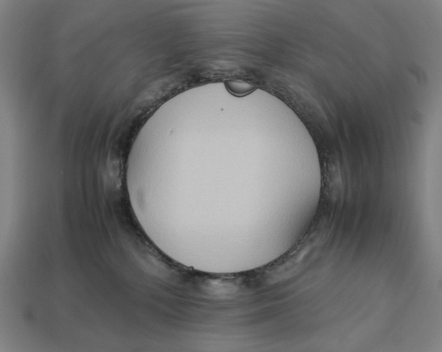 X0000113110232200909181635