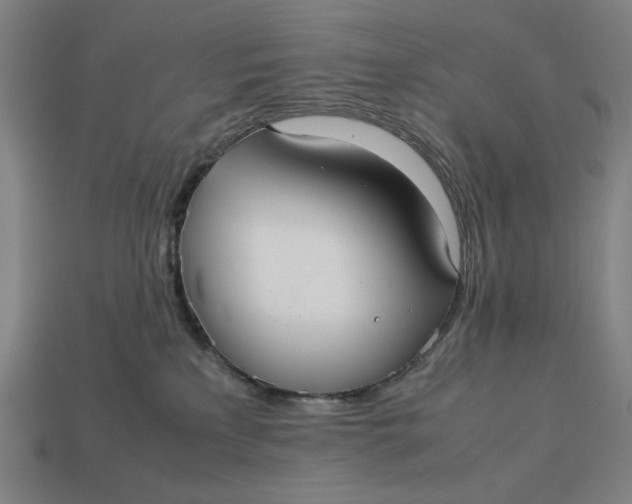 X0000113110233200909181635