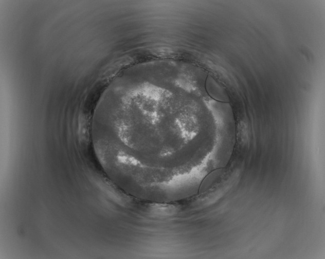 X0000113110234200909181635