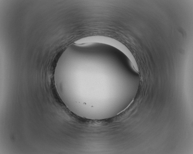 X0000113110235200909181635