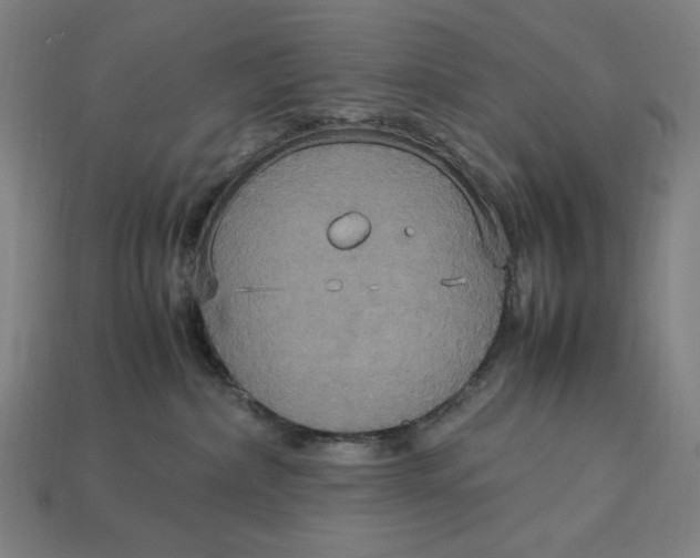 X0000113110236200909181635