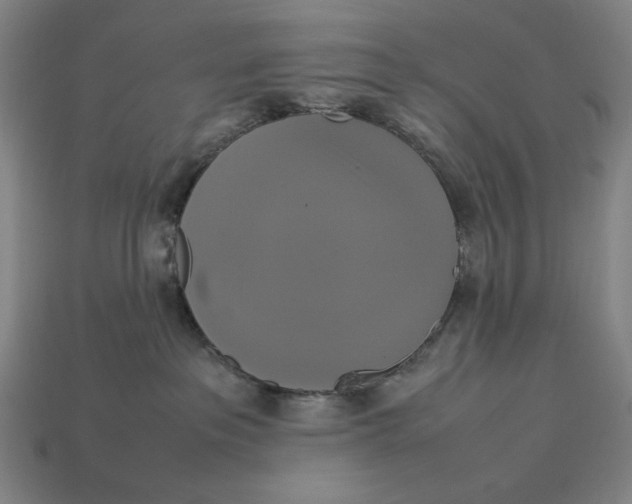 X0000113110237200909181635