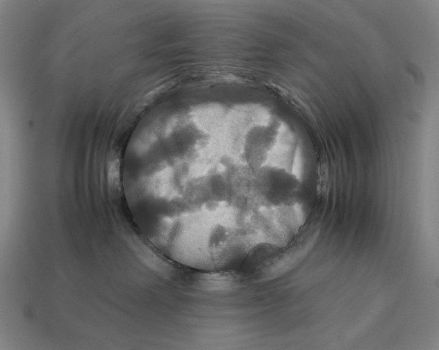 X0000113110238200909181635