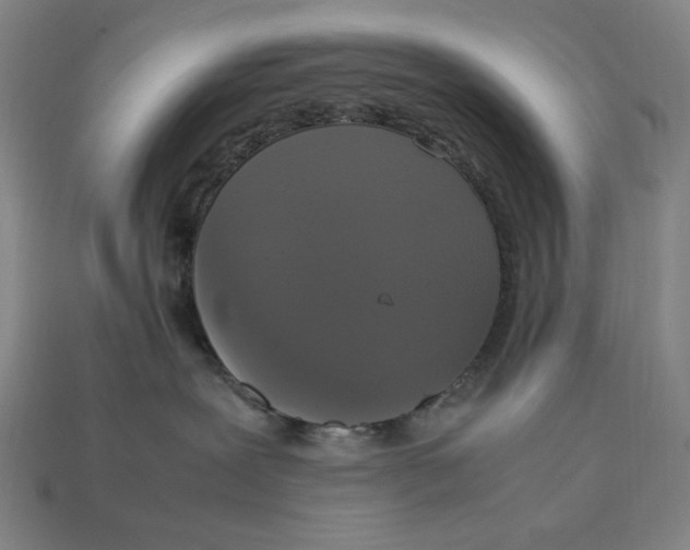 X0000113110239200909181635