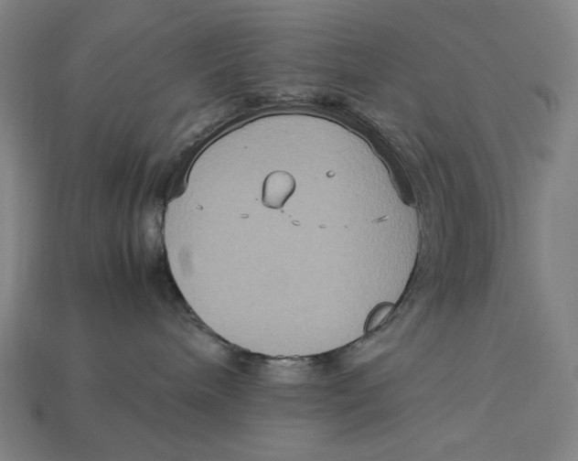 X0000113110240200909181635