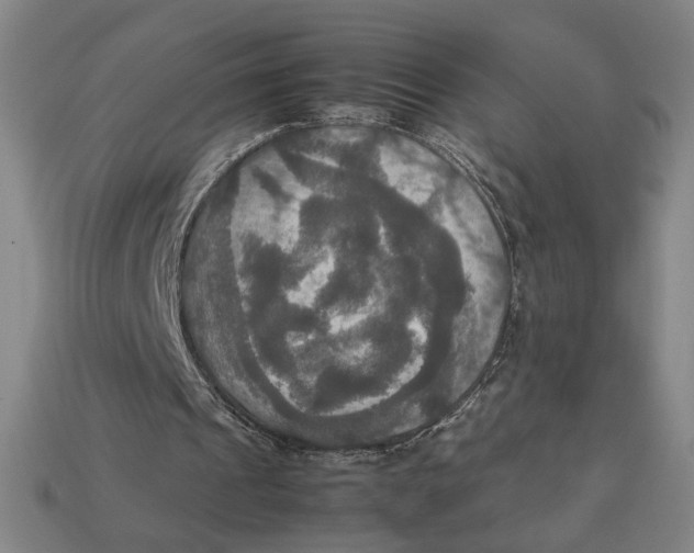 X0000113110241200909181634