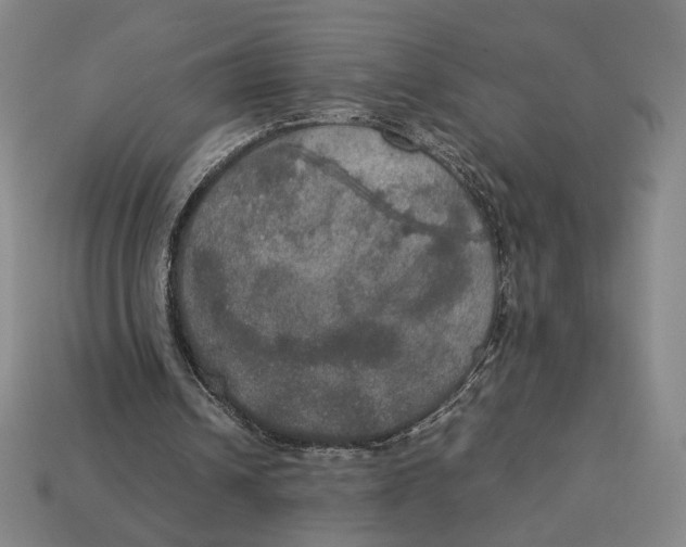 X0000113110242200909181634