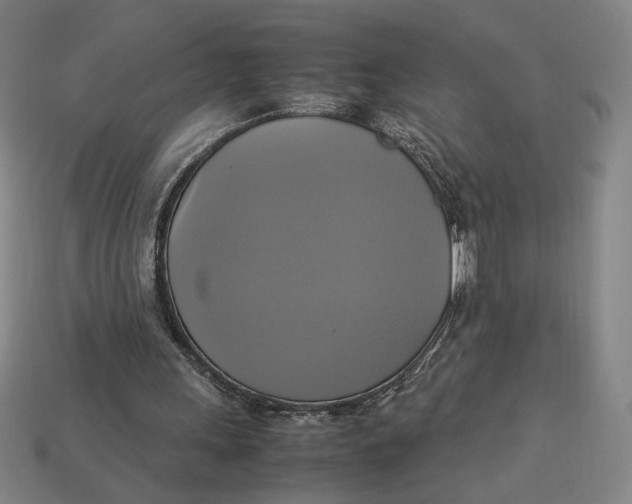 X0000113110243200909181634
