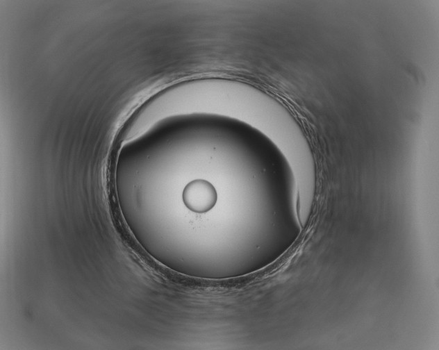 X0000113110244200909181634